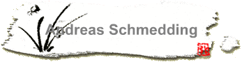 Andreas Schmedding