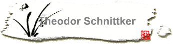Theodor Schnittker