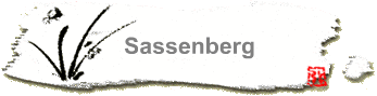 Sassenberg